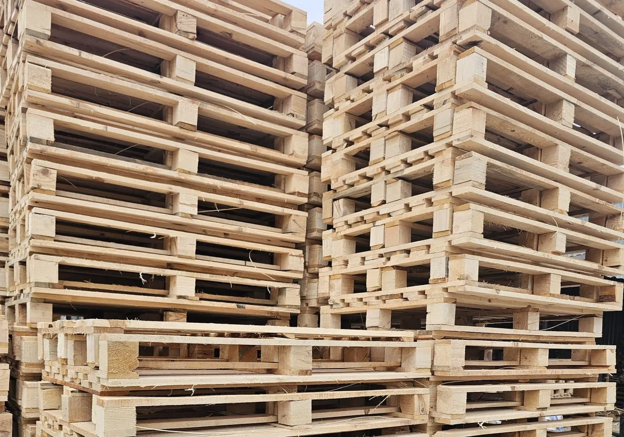 Açık sahada yan yana ve üst üste istiflenmiş ahşap paletler
